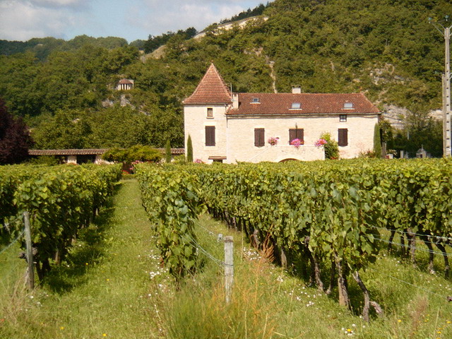Cahors_Chateau-wijn
